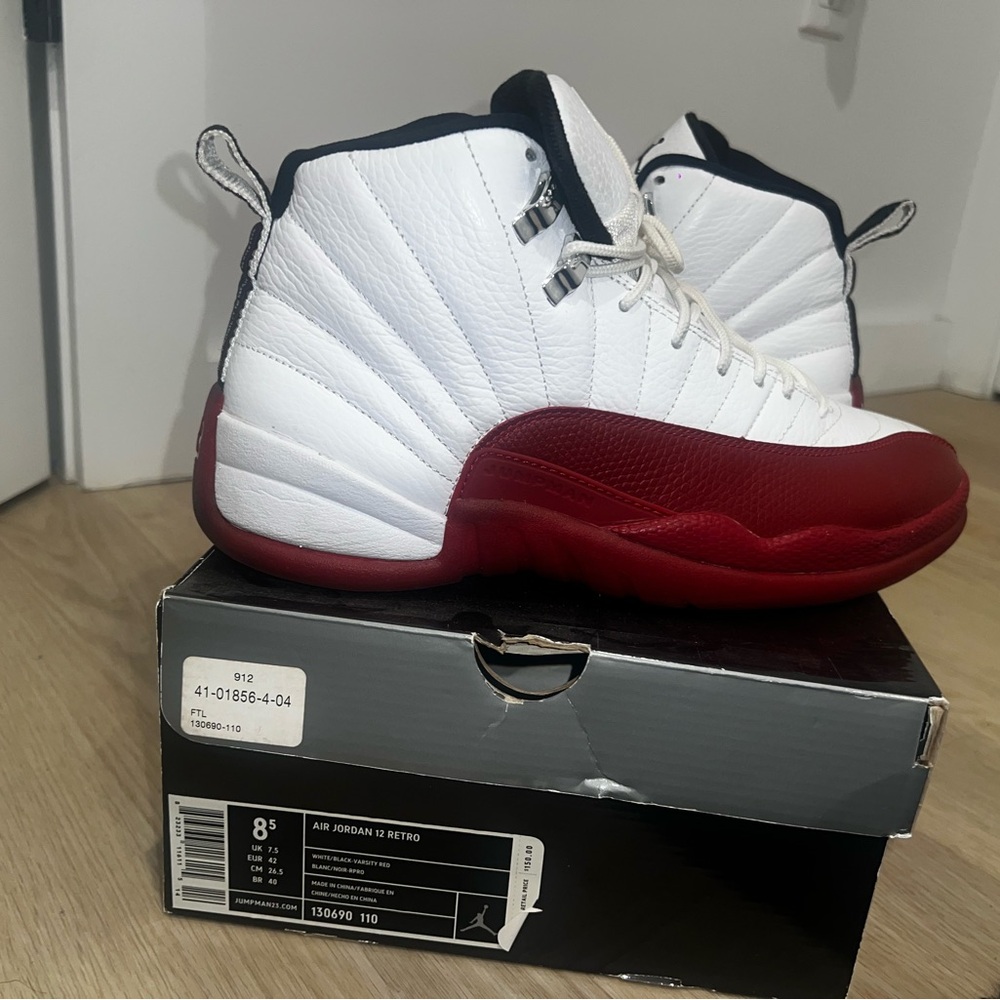 2009 Jordan XII “Cherry 12”